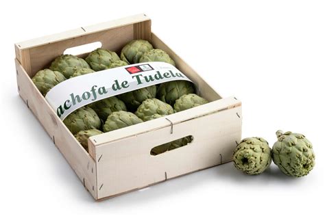 Alcachofas de Tudela, mostrando sus características brácteas