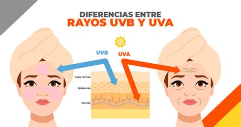 Esquema de protección solar frente a rayos UVA y UVB