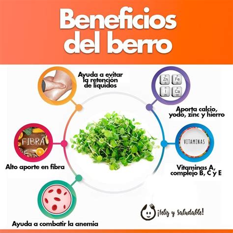 Infografía sobre los beneficios del berro