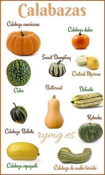 Tipos de calabazas alrededor del mundo
