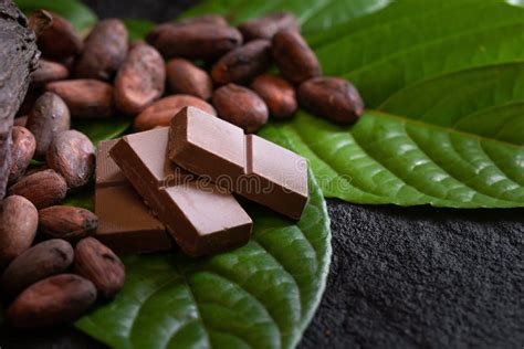 Granos de cacao y una barra de chocolate 100% cacao