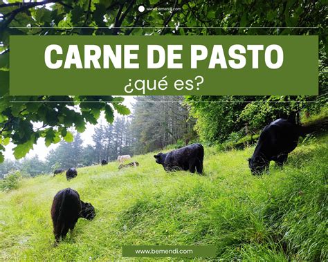 Comparativa nutricional de carne de pasto y carne industrial