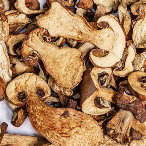 Boletus deshidratados y molidos