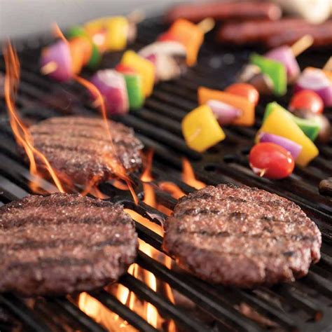 Esquema de las parrillas Char-Griller Wrangler y sus modelos compatibles con la funda