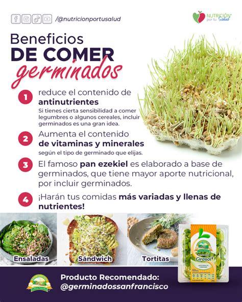 Infografía sobre los beneficios de los alimentos germinados