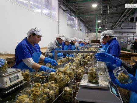 Proceso de envasado de conservas vegetales en fábrica