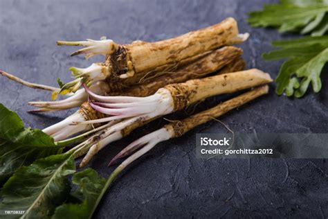 Raíz de rábano picante