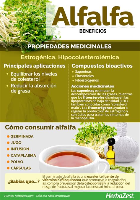 Infografía con los beneficios de la alfalfa