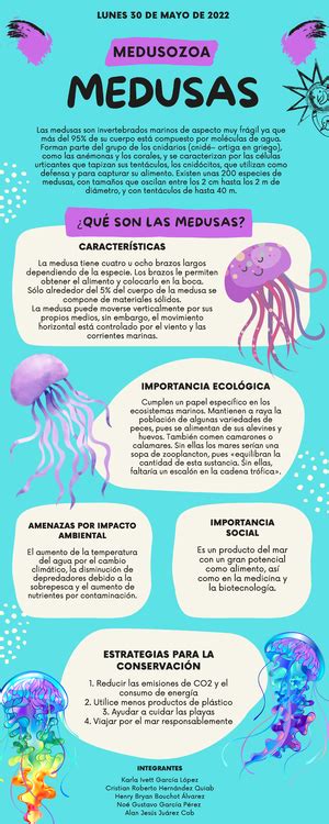 Infografía sobre la importancia de las medusas en el ecosistema marino
