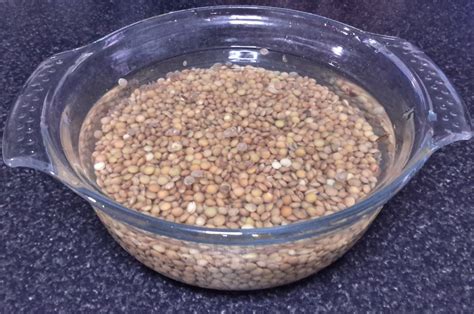 Lentejas secas y agua en un recipiente, simbolizando la preparación del fertilizante.