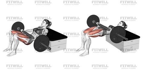 Comparativa de rango de movimiento entre Puente de Glúteos Kas y Hip Thrust