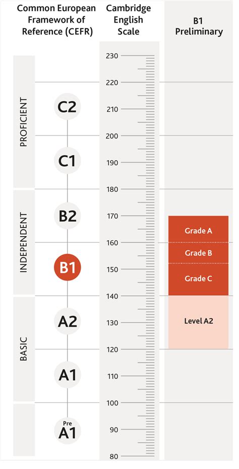 Infografía mostrando la estructura de la sección de Reading del examen B1 Preliminary