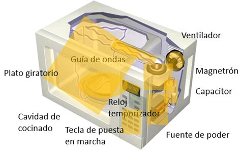 Interior de un horno microondas con plato giratorio