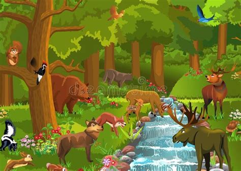diversidad de plantas y animales en un bosque