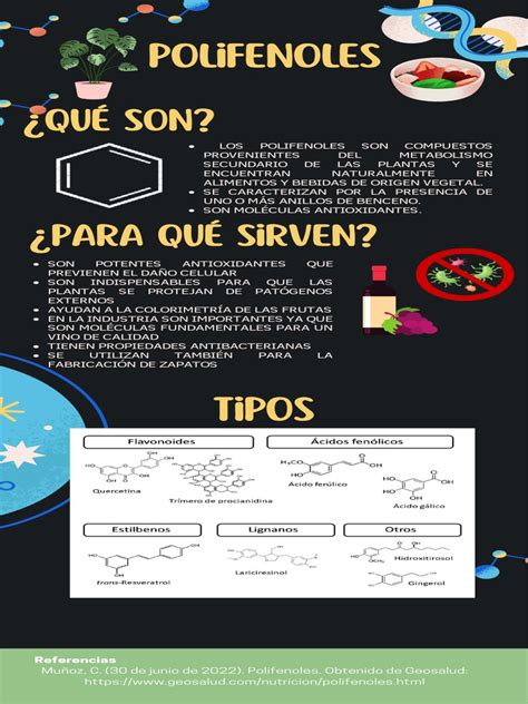 Infografía sobre los beneficios de los polifenoles en la dieta