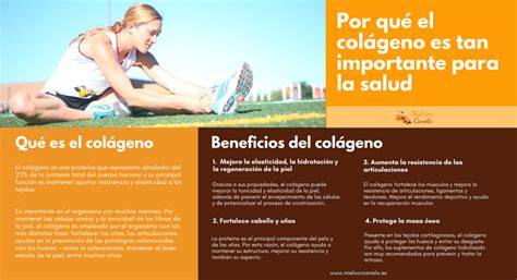 infografía sobre los beneficios del colágeno para la elasticidad dérmica