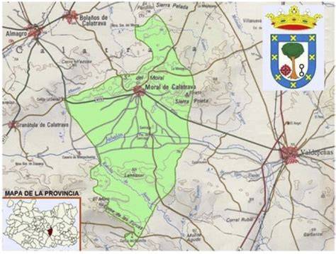 Mapa de ubicación de Frutas Miguel en Moral de Calatrava