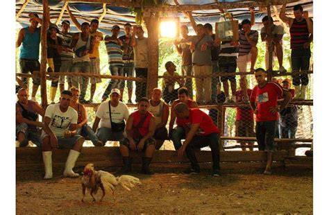 Escena de la fiesta de los gallos en La Alberca