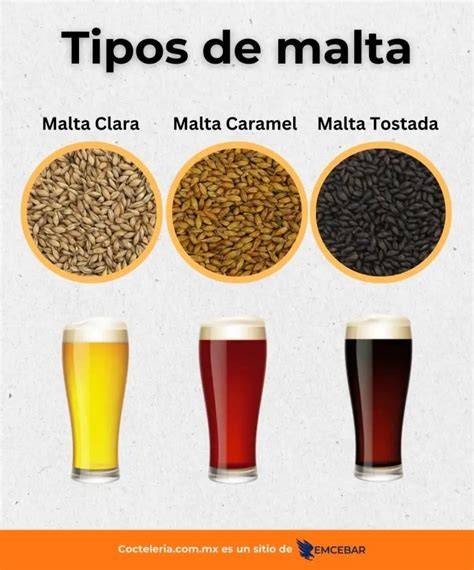 Tipos de malta y lúpulo utilizados en cervezas sin gluten