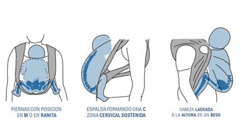 Ilustración de la postura ergonómica de un bebé en porteo (espalda en C, piernas en M)
