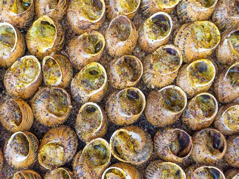 Caracoles cocinándose en una llauna sobre brasas