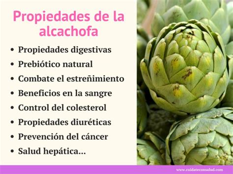 Esquema de las propiedades y beneficios de la alcachofa