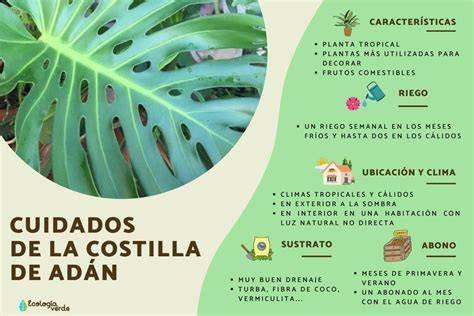 Fachada de La Costilla de Adán en Manizales