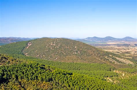 Paisaje de los Montes de Toledo con fauna cinegética