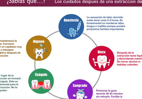 Gráfico de alimentos a evitar después de una extracción dental