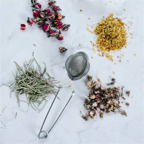 Esquema de las diferentes preparaciones del abedul: infusión, decocción y aceite