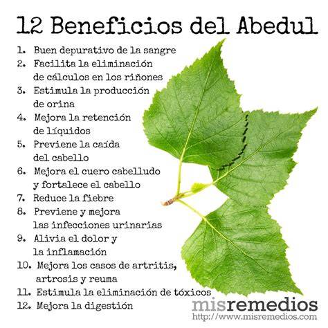 Tabla comparativa de propiedades del abedul y el yesquero del abedul
