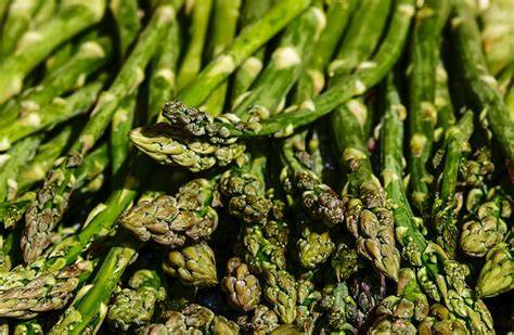 Variedades de espárragos y sus usos culinarios