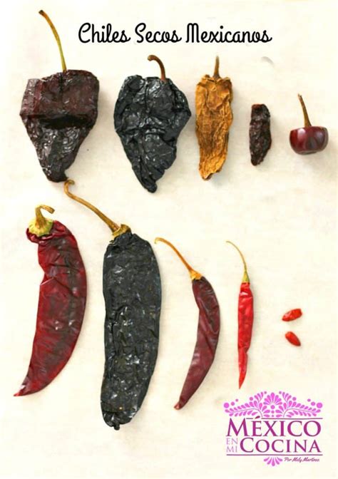 Chiles mexicanos secos