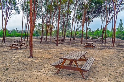 Área de picnic en el Pla del Fideuer