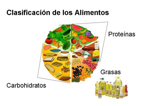 Clasificación general de los alimentos