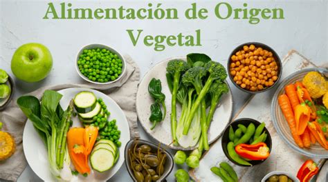 Ejemplos de alimentos de origen vegetal