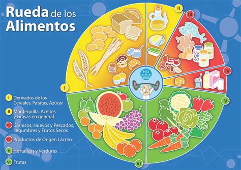 Pirámide alimentaria y la rueda de los alimentos