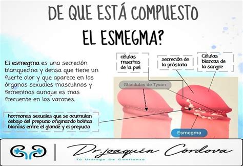 Ilustración del esmegma en el pene