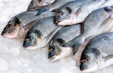 Diferencias entre pescado fresco y congelado