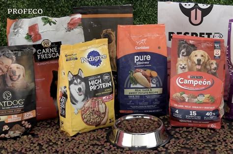 Variedad de croquetas para perros y gatos