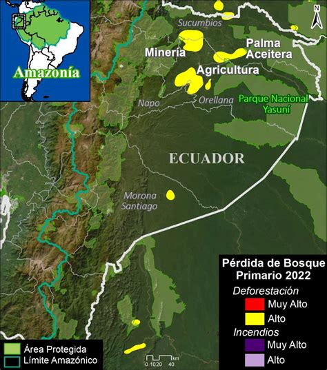 Mapa de regiones afectadas por la deforestación para plantaciones de palma aceitera