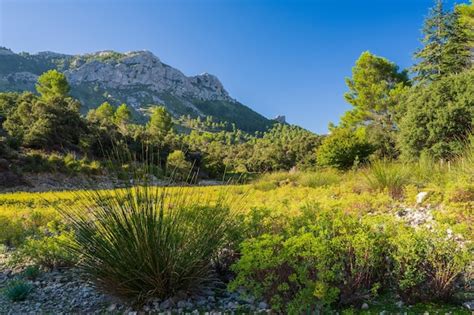 Paisaje mediterráneo con peñas y vegetación costera