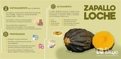 Zapallo loche