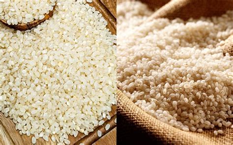 Comparación de granos de arroz redondo y arroz bomba