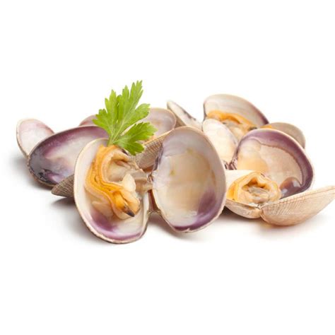 Almejas frescas