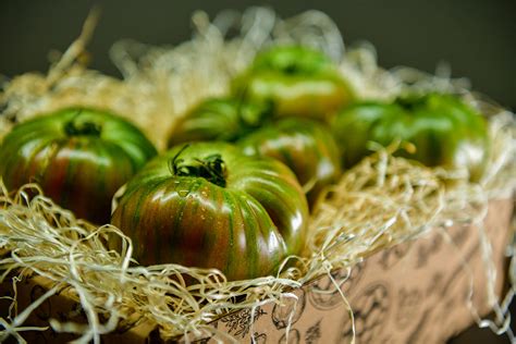 Tomate Cherokee con listas verdes
