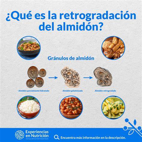 Esquema del proceso de retrogradación del almidón al tostar el pan