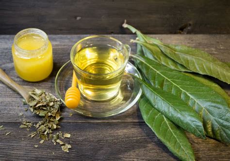 Infusiones con hoja de olivo
