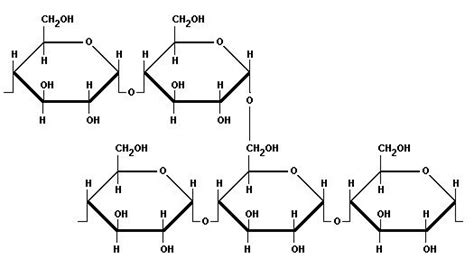 Esquema de la estructura molecular del almidón y cómo se convierte en almidón resistente