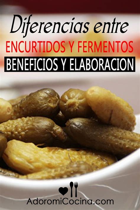 Diferencias entre encurtidos fermentados y no fermentados